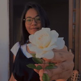 NAIARA CRISTINA DE LIMA