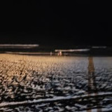 Fernanda Queiroz Karan Franco