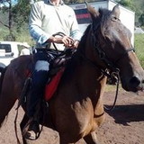 Ismael Mendes Ribeiro