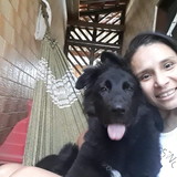 Juliene Sousa Colantonio Aló