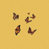 Litiane Gabriela Tomstki