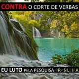 Adriana Landim Quinaud