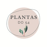 PLANTAS DO 54