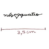 PRISCILA BONVINO FERRARO