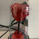 Cristiane De Jesus Silva