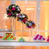 LUCIANA DOS SANTOS MIRANDA