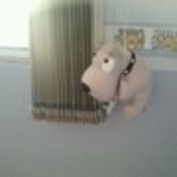 Fabrício Souza Sanches