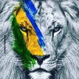 Poliana Glaucia Siqueira Souza e silva