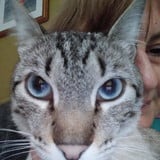 Marlise Beatriz Kraemer Vieira