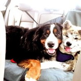 Maria Helena Fernandes