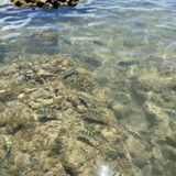 Soanne Moreira Nascimento