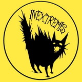 In Extremis Art & Silk