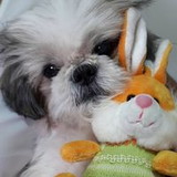 Delcia Soares de Oliveira