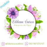 Edilane Áurea Morais da Silva