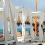 Priscila Vieira de Macedo Gonçalves