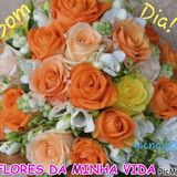 Maria Cesira Navarro