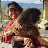 Maria Cristina Guimaraes Pinheiro