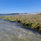 Márcia Medina Bettencourt