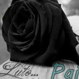 alessandra paula frade