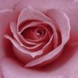 ROSALIA MARIA SOUSA BATISTA