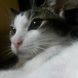 francisca vieira dos santos