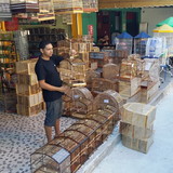 Paulo Henrique Pereira