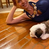 Débora Alves portas dos reis