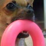 Danielle De Lacerda Carelli