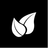 Natália Queiros Costa