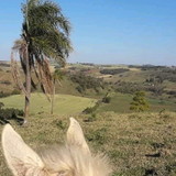 Elisandra Cavalheiro