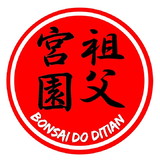 Bonsai do Ditian