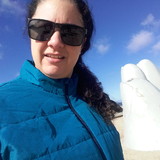 Bianca Strapassoli Goulart Amorim