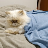 LIDIA MAYARA FERREIRA