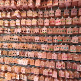 Everlanya Vasconcelos da Ressurreição