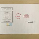 GUSTAVO ANDERLE MATTUELLA