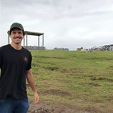 Luiz Felipe Mancusi De Holanda Bezerra