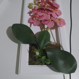 Regina Rozania Lima de Araujo