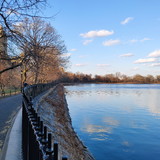 Luiza Wanick Di Giorgio Silva