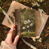 Isis Cristais e Pedras