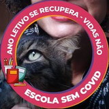 Cristiane Ap. F. Moreira