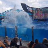 Danuzia Cristina de Abreu Esposito