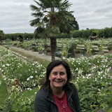 floriana invidia beduscki