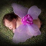 REGINA CELIA COUTO BITTENCOURT FILIPPINO