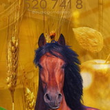 Mirian Paola Silva Pereira