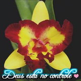 Ana Paula da Silva do Valle