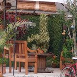 Minha Lojinha da Casa