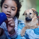 lanna priscila cardoso abreu