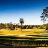 JACQUELINE LAZZAROTTO