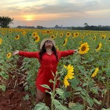 Jacqueline Felix de Lima