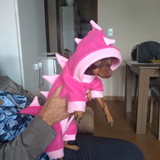 Patricia Freire Carelli